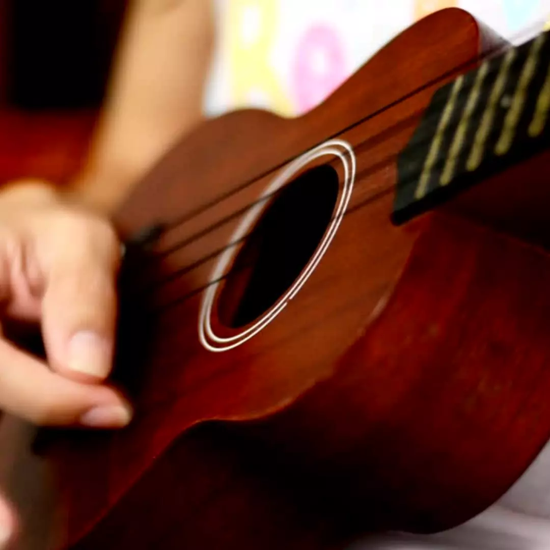 Ukulele e cavaquinho